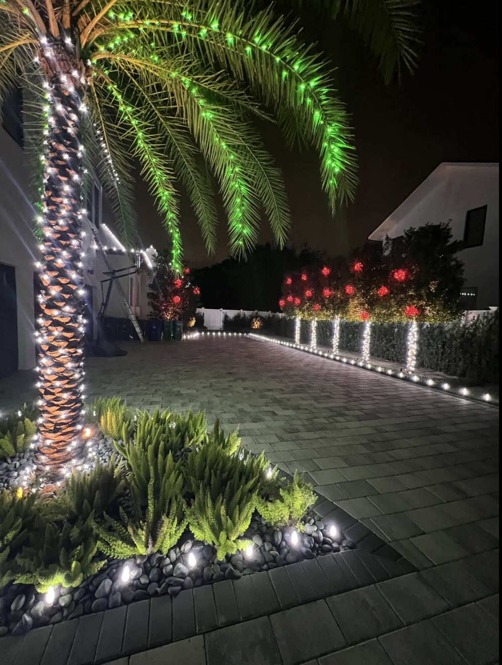 Tropical landscape lighting with illuminated palm trees and festive ground lights